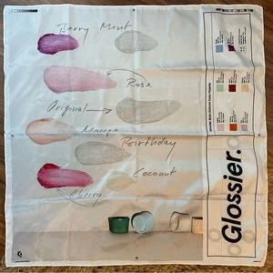 Exclusive holiday scarf NWT and 2 extra stickers!